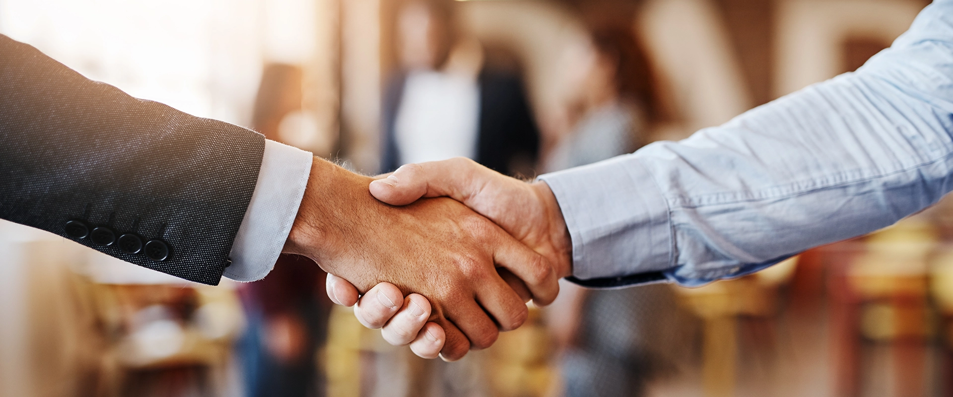 Silverback-troop-giving-header